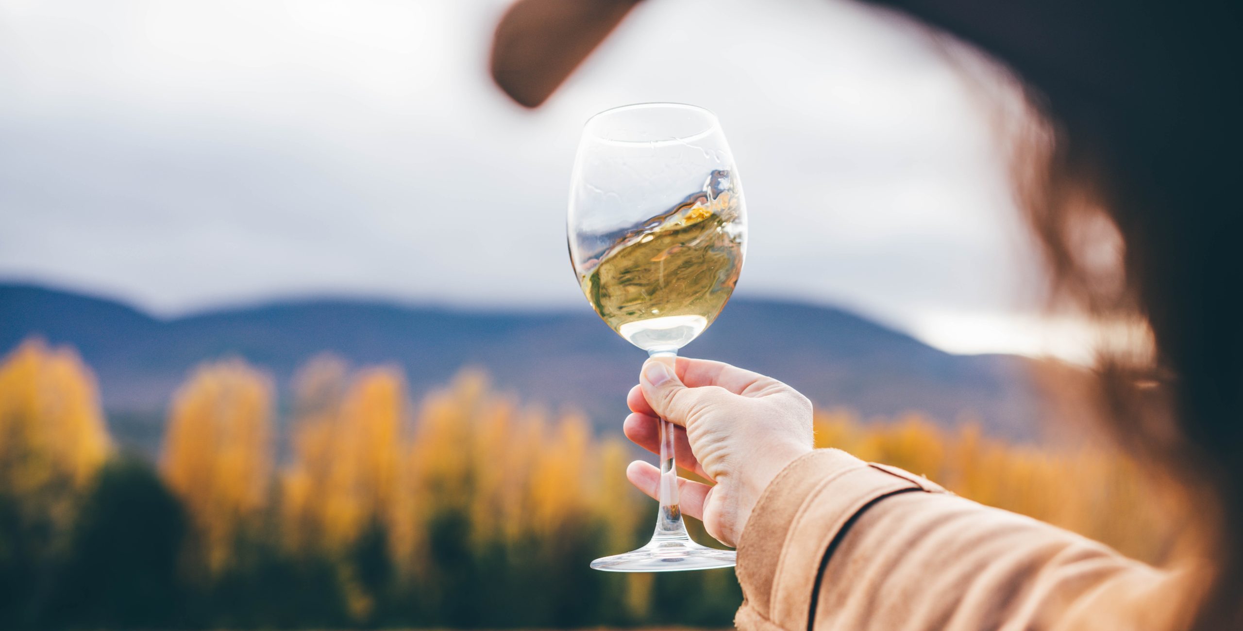 Jesenski vikend izlet: Destinacije u Slavoniji i Baranji za nezaboravne avanture s obitelji